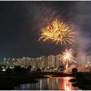 유성온천문화축제 불꽃쇼 이미지