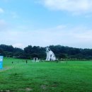비룡고시원