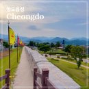 동교길-6 | 청도 가볼만한 곳 청도읍성 청도향교 석빙고 민속촌 (산책하기 좋은 곳)