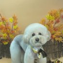 딱이네미용실 이미지