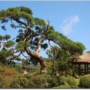 향나무쉼터 이미지