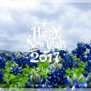 별이성형외과의원 이미지