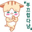타우짐 네이버블로그