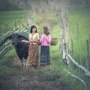 국가공인 행정사사무소 이미지