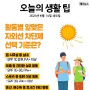 제사 안 지내면 큰일 나나요 이미지