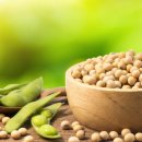 브라질: 사상 최대 규모의 대두 수출로 수익 유지 이미지