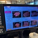 육미향김포 | 김포 육미향 돼지갈비 맛있게 즐긴 후기