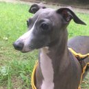 스카이동물병원 이미지