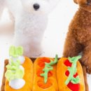 윤식농장 이미지