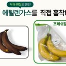 더프레쉬