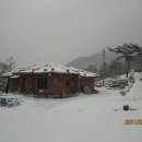 대광리 Daum카페