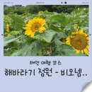 염색이야기(태안점) | 태안 여행 코스 - 해바라기 올래 정원! 솔직후기:)