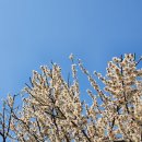 자전거대통령계산점 | 당장 널 만나러 가지 않으면 오늘 하루가 손톱만큼도 의미 없어