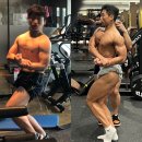 빔스짐 | [반여동헬스장/빔스짐] 헬스장 실패 안 하는 법? 하루 체험부터 하세요