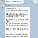 문캣네일