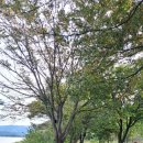 수정로120번길 | 성남점집 [나라신궁연화사 용한유명한 신점] 기도 체험후기 마음이 편안해지는 시간