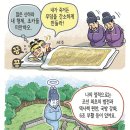 [뉴스 속의 한국사] 신분에 따라 달라지는 무덤 이름 이미지