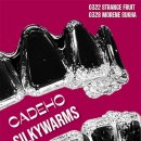 cadeho / silkywarms 홍대공연 이미지