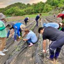이종국농장 이미지