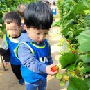 송림휴먼시아어린이집 이미지