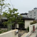 스몰버드카페 | 대구 근교 현풍 귀여운 고양이가 있는 한옥 감성카페_스몰버드