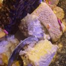 참신카센타 이미지