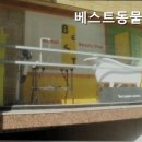 베스트동물병원 네이버블로그