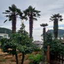 하얀노을민박 이미지