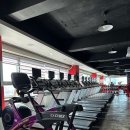 휘트니스 베이직 이미지