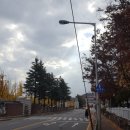 투썸플레이스 대전과학기술대점 이미지