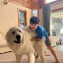 옥정숲속어린이집 이미지