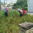 광덕 문화광장 이미지