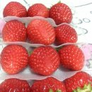 은혜농장2 이미지