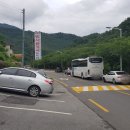 신한국관 티스토리