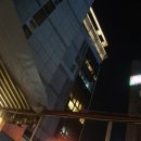 강호동백정 이미지