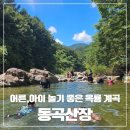 동곡초등 | [광양] 동곡산장 | 광양 옥룡 계곡 산장 추천 | 초등학생 놀기 좋은 계곡