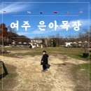 은아목장 | 여주 은아목장 아이와가볼만한곳 낙농체험 피자만들기