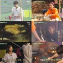 한끼세끼 이미지