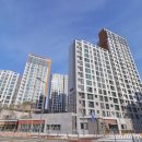 나루초등학교 이미지