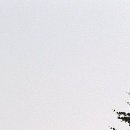 산본한의원 네이버블로그