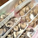 경현농장 이미지