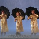 오야스미 - 노원구 노원로 248 | 오야스미