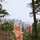 KJ 행정사 이미지