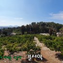 남원읍-123 티스토리