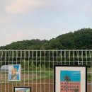 청계산골든밸리가족캠핑장 이미지