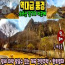 여주-0307 네이버블로그
