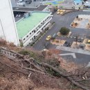 구평동-5 이미지