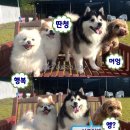 놀멍뛰멍 이미지