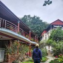 스테이자유 이미지