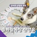 농업회사법인 청정가내 주식회사 | 강아지 산양유 추천 음수량 늘리기 좋은 솔바람목장 99.99% 산양유